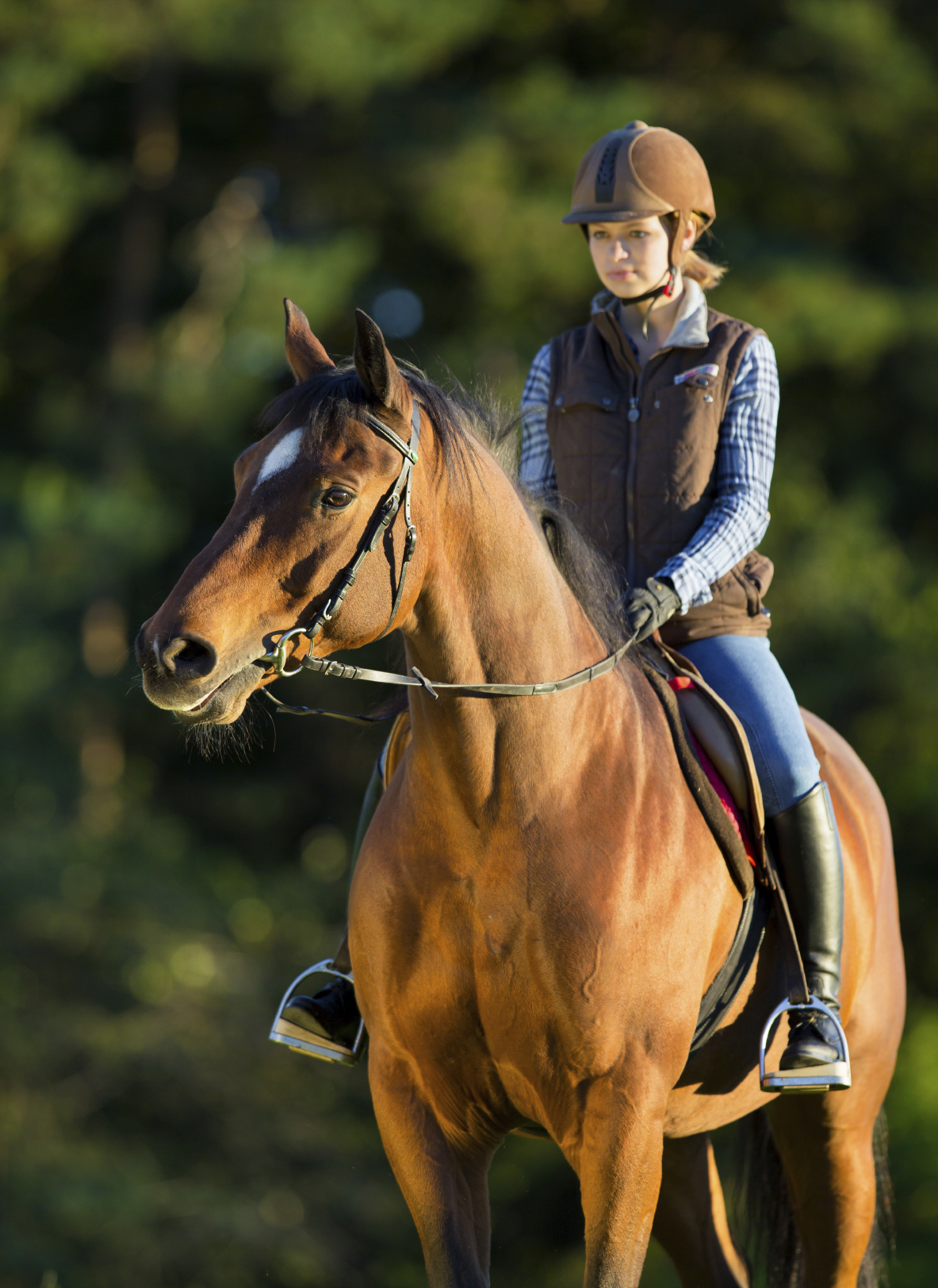 Reduce Horseback Riding Injuries With These Safety Tips